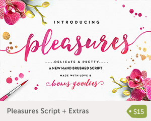 pleasures script on creative market